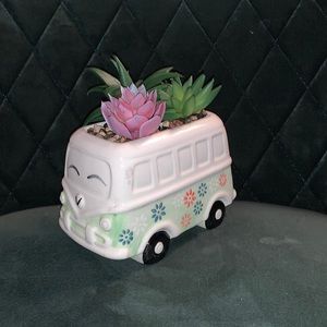 Volkswagen Bus Succulent